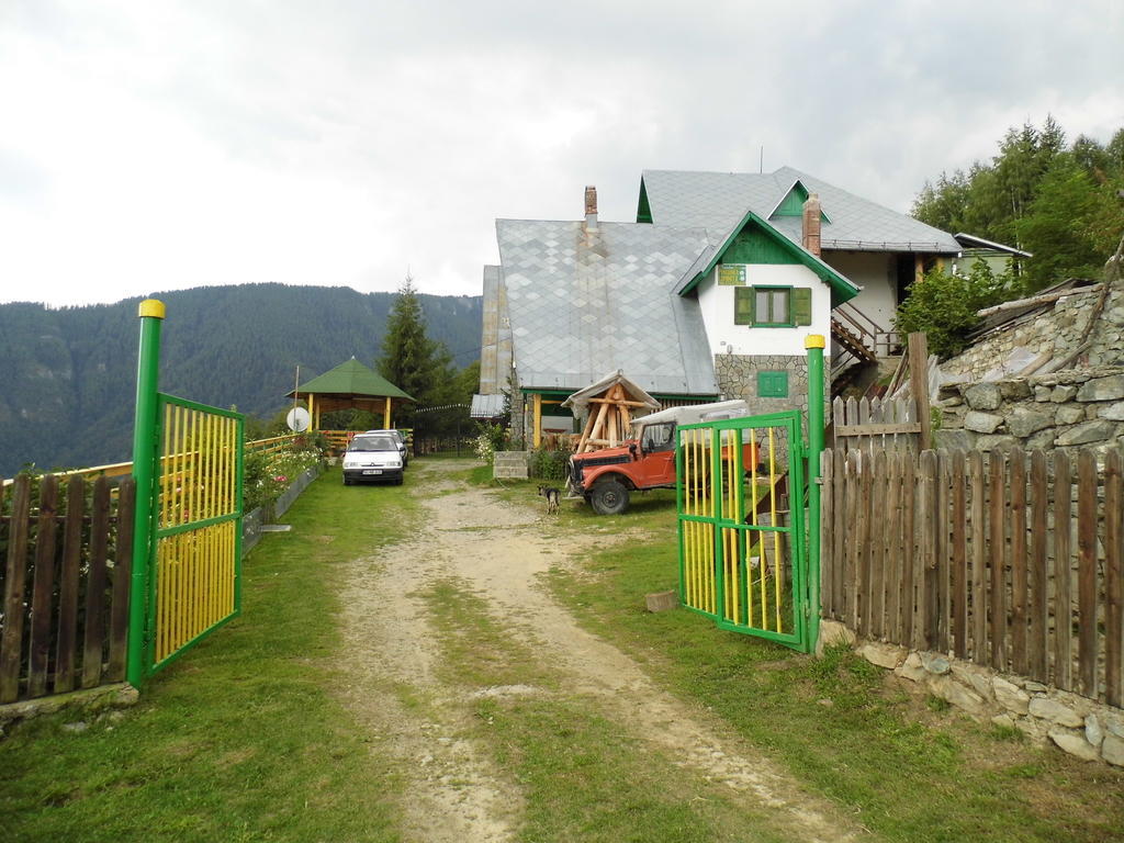Pensiunea Luminita Ciungetu Exteriér fotografie